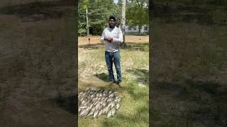 Is it crappie or croppie? 🤔🤷🏿&zwj;♂️. #crappie #croppie #fyp #comment