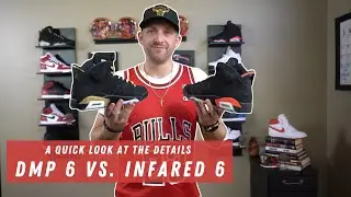 DMP 6 VS INFRARED 6 (DETAILED COMPARISON)