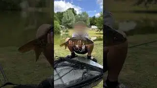 ma premier carpe