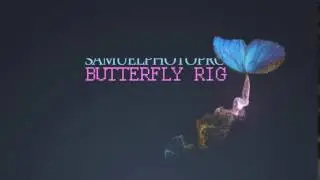 Animating Butterfly  Effect  - After Effects