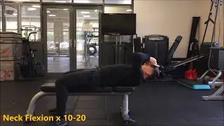 4 Way Neck (Neck Strength)