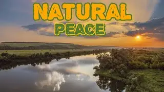 Immerse yourself in the breathtaking beauty of nature's symphony 🌿✨ #NatureAtItsFinest #Peaceful
