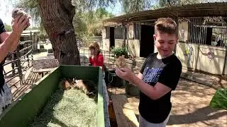 Kim and Pat's Air BnB and Petting Zoo in Jamul California