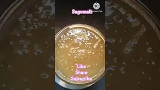 Instant Body Heat Relief! Sago Malt Drink to Cool Your Body Naturally | Summer Special Remedy