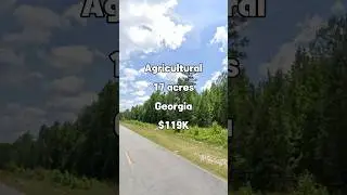 17 acres in Georgia for $119K #shorts #foryou #fyp #fypシ゚ #land #georgia