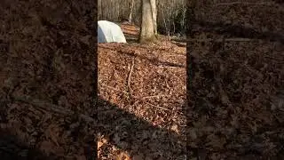 Camping in the Backcountry!!! #westvirginia #river #fishing