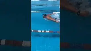 Swimming Butterfly Stroke in Action 🏊&zwj;♂️ | Dolphin Style in Motion