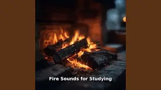 Fire Sounds for Focus and Study, Pt.22