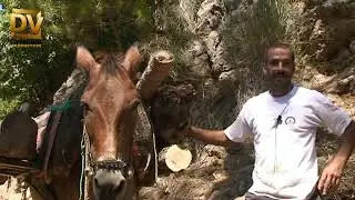 من وادي قنوبين قاديشا المقدس