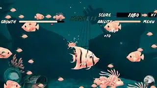 LME | 1 | Fish Game | Game Zone