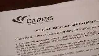 Florida Insurance Market Sees Major Shift: Citizens No Longer #1