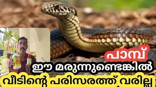 Snake Repellent Poison | How To Use Carbolic Acid For Snake At Home | How To Get Rid Snake