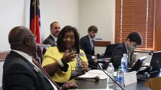GA Sen Donzella James chairs Committee on Interstate Cooperation's 2nd Hearing American Rescue Plan