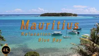 Mauritius Island, Blue Bay 🌴 Palm Trees, Blue Water & Relaxing Beach Sounds 🌊