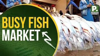 Inside Muzaffarabad&rsquo;s Busy Fish Market| Muzaffarabad | Kashif Javed| Pakistan Connect