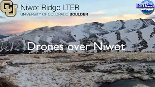 Drones over Niwot