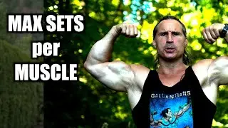 Most Amount of Sets Per Muscle per Workout