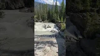 #atmosphere #forest #banff #travel #nature #river