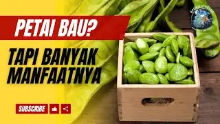 BAU TAPI BIKIN NAGIH ⁉️INI DIA PETAI YANG PUNYA SEGUDANG MANFAAT 