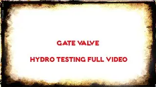 Inspection of Gate valve|| SS Grade|| Shell, Seat, Pneumatic Test||