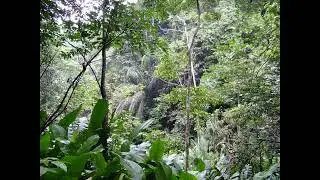 Icaros & prehispanic music