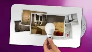 Guide to Light Bulb Shape and Cap