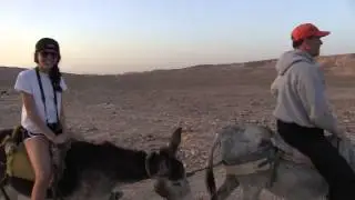Israel Camel Ride