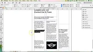 Page 3: Pulled Quote and Mini Logo