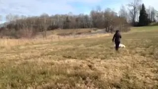 Newmans track