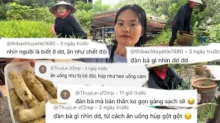 #458 Cái Kết Bất Ngờ Khi Trồng 1 Kí Hạt Rau Muống Và Thành Quả Thu Về #hanhcuocsongthailand