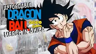 How Much Dragon Ball Merch Can You Get For $100? | Akihabara in Budget