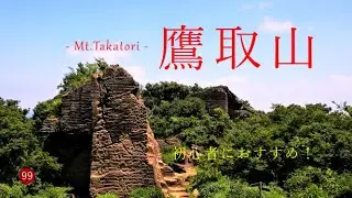 【登山】 初心者におすすめ！　鷹取山　神武寺から京急田浦へ