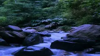 Music Relaxation For Inner Peace And Calm Energy ✨ | By Peaceful Mind Melodies