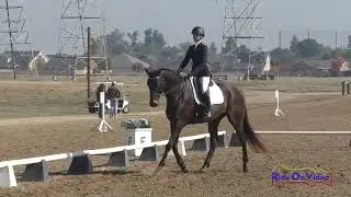 064D Camille Batoy on Traveler JR Novice  Dressage Ram Tap November 2022