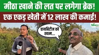 Gudmar Farming | सिर्फ एक एकड़ में खेती कर इस पौधे से लखपति बन सकते हैं किसान! | Gymnema sylvestre