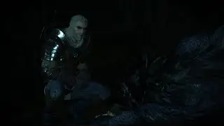 IN WOLF'S CLOTHING