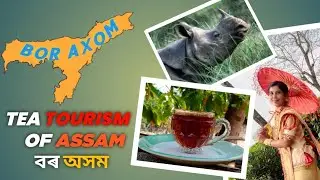 Tea Tourism of Assam