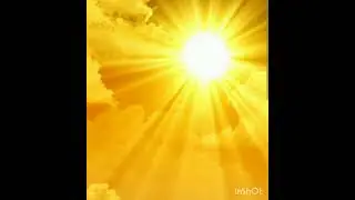 Wize Guy - Sunshine