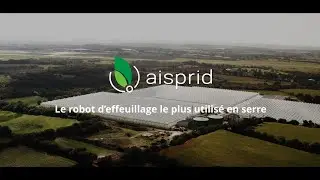 Aisprid le robot d'effeuillage le plus utilisé en serre