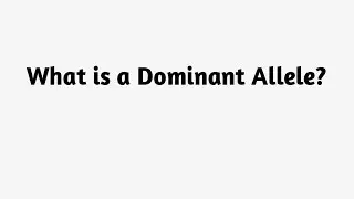 What is a Dominant Allele ?