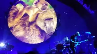 Brit Floyd: opening video montage + Cluster One + What Do You Want From Me
