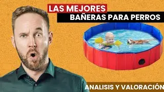 Las MEJORES PISCINAS para perros: las mejor valoradas ?⭐⭐⭐