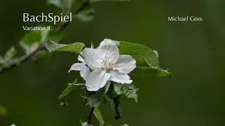 BachSpiel Variation II.