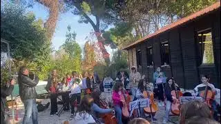 ALIBANDA - Ceis Rimini  - a.s.2025/26
