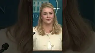 Karoline Leavitt takes on Tim Walz over Tesla jab