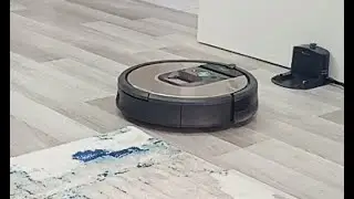 Cat Hair VS iRobot Roomba! How much hair it collects? Does it clean good?