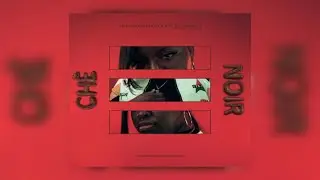 Che Noir - The Color Chocolate, Vol. 1 (New EP) Ft. Ransom, Evidence, Your Old Droog, ICECOLDBISHOP