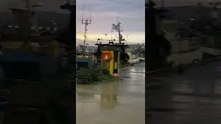Dingle Marina on 12/17/25