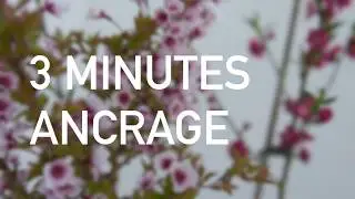 M&eacute;ditation guid&eacute;e - ancrage 3 minutes ⟡ Ginkgo