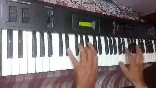 Aaja re pardesi  main toh kab se khadi - Keyboard / Organ Play